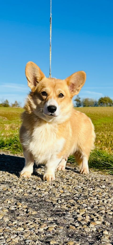 Vicky Des Yeux D'Osiris