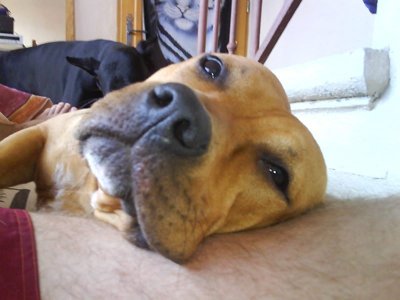 Tendresse